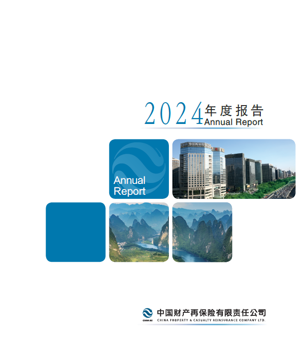 公司2024年度报告